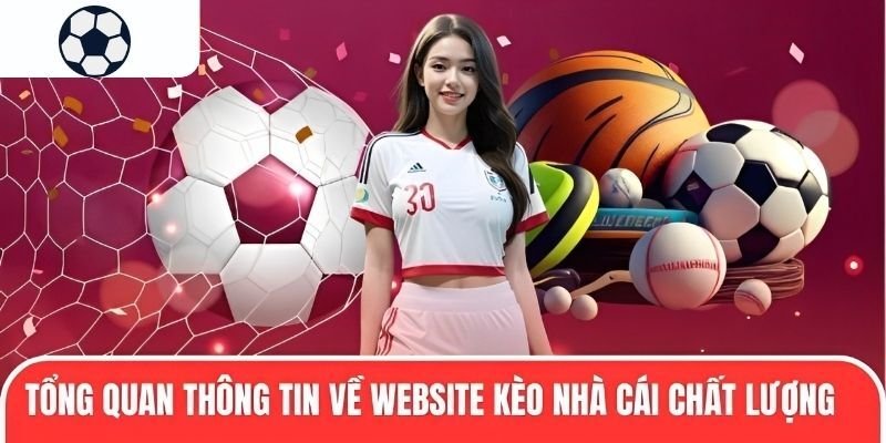 Hiệp Hội Bất Động Sản Tphcm Bí Kíp Thắng Lớn Từ Kinh Nghiệm Chuyên Gia
