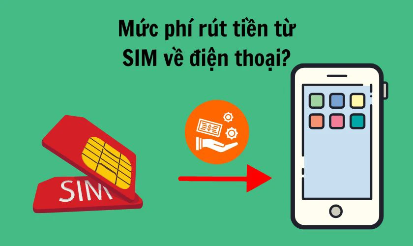 Đât Nền Hòa Xuân Hướng Dẫn Chi Tiết Và Những Lưu Ý Quan Trọng